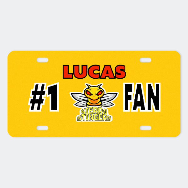 Custom Novelty License Plates
